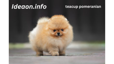 teacup