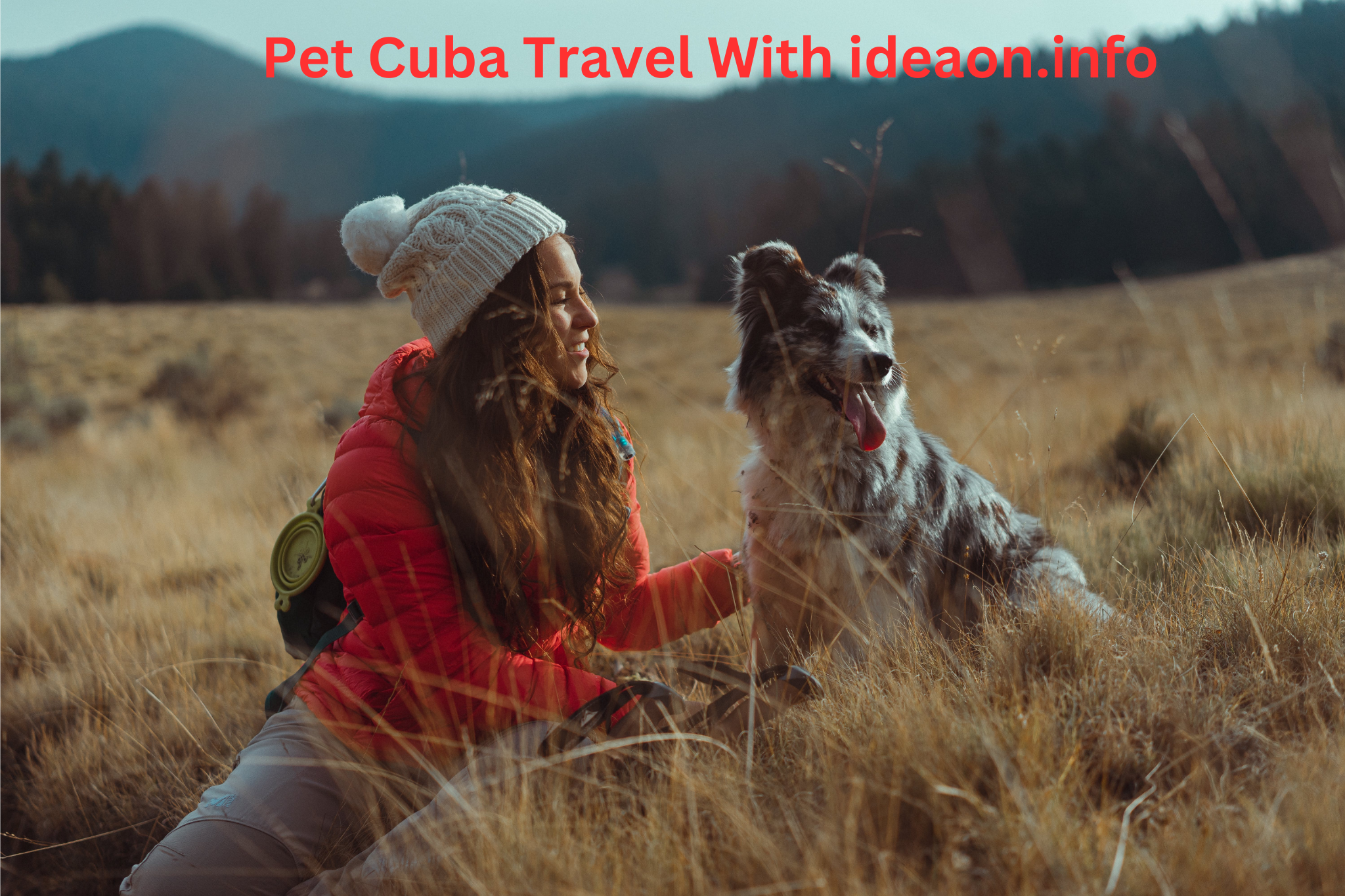 Pet Cuba Travel