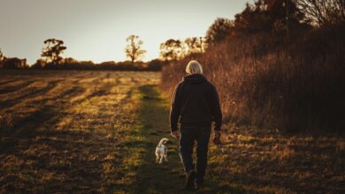 Autumn Trails Vet Center