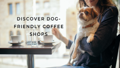 Explain Dog Friendly Coffee Shops Near Me