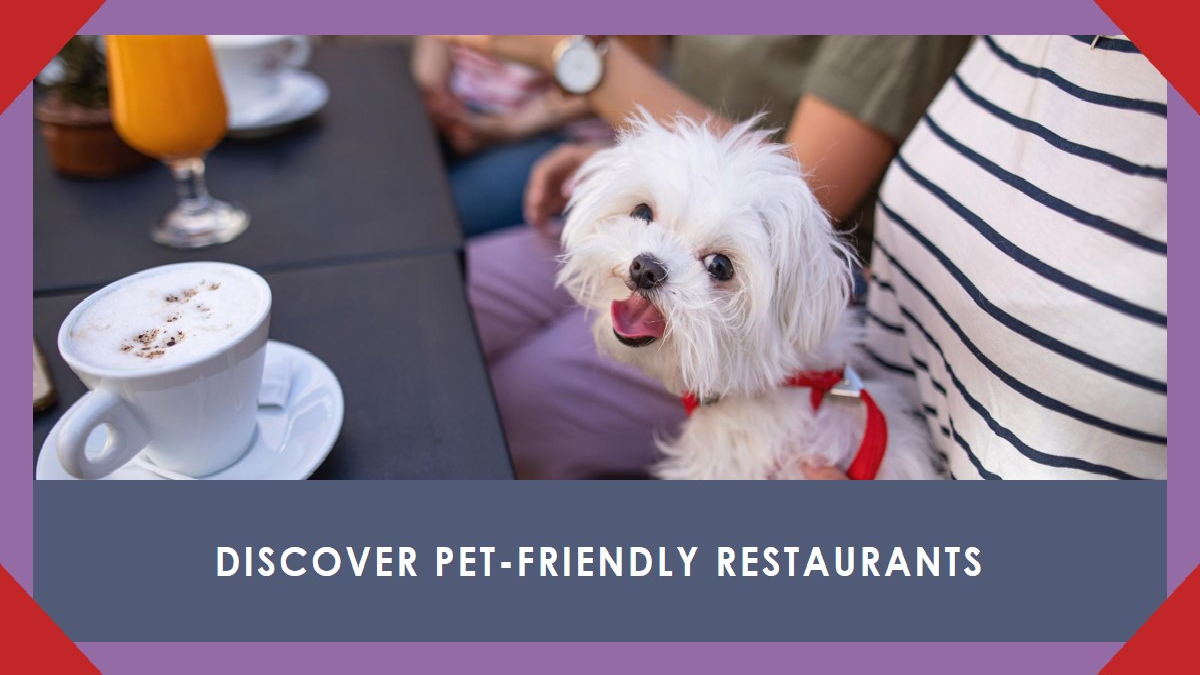 Pet Friendly Restaurants Near Me