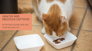 Reveal Cat Food: Nutritious Feline Fare